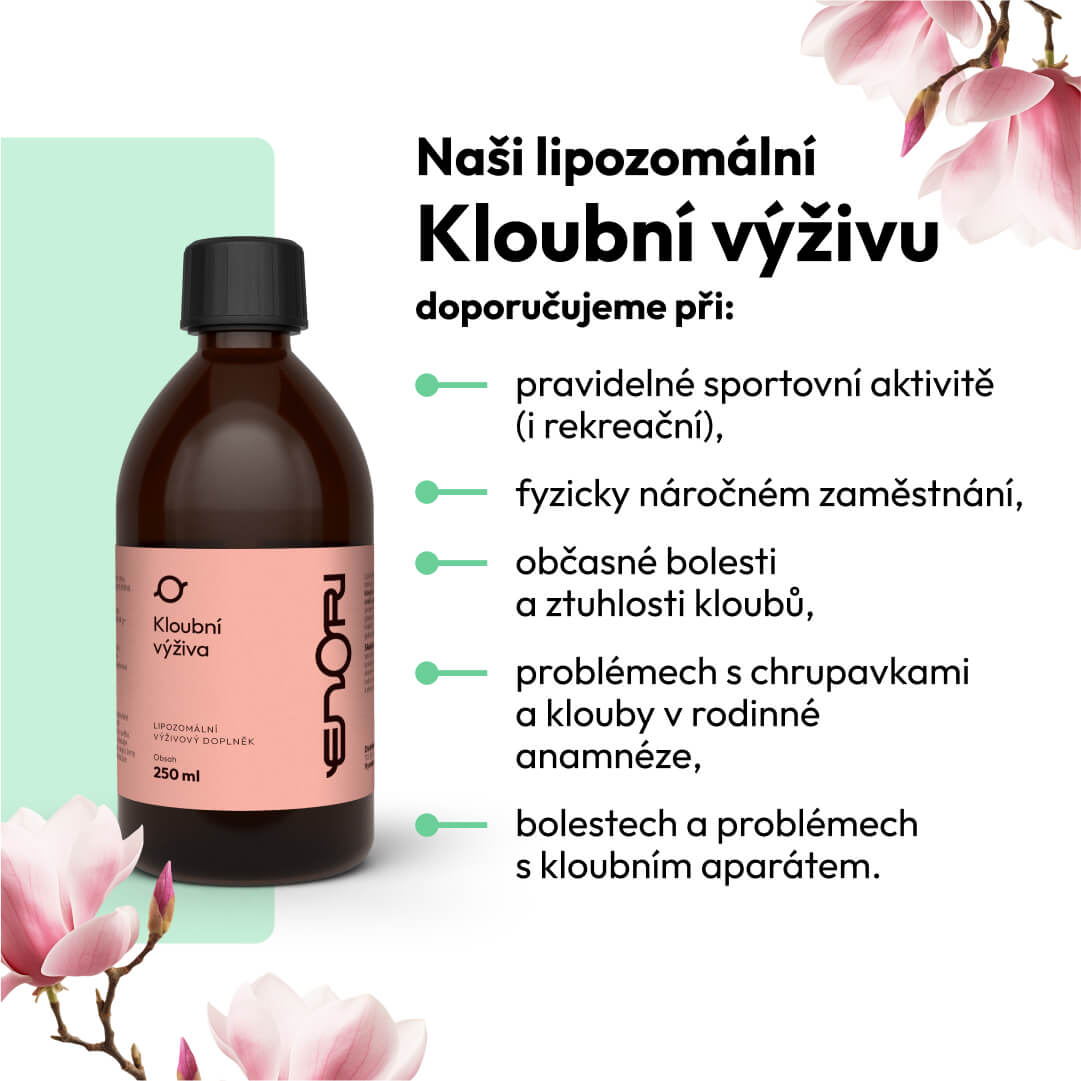 Kloubní výživa